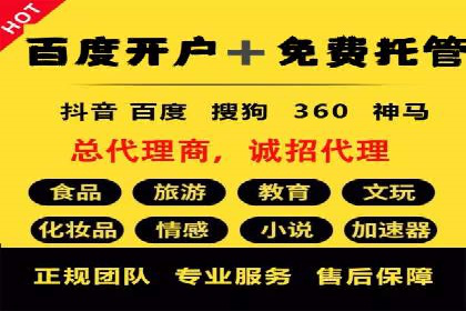 SEM公司成功案例分享：搜索引擎优化的力量