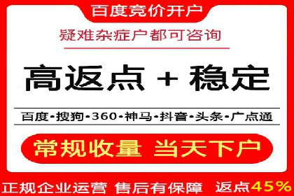 百度推广代运营公司：打造高效的网络营销团队